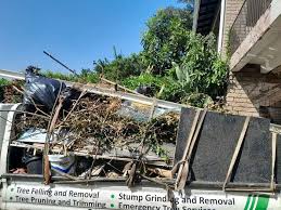 Best Carpet Removal and Disposal  in Clive, IA
